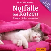 Notfälle bei Katzen (MP3-Download) Notfälle bei Katzen (MP3-Download)