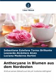 Anthocyane in Blumen aus dem Nordosten Anthocyane in Blumen aus dem Nordosten