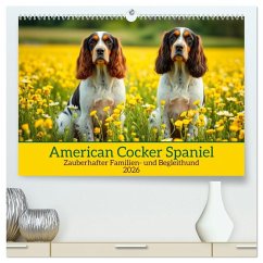 Cover American Cocker Spaniel (hochwertiger Premium Wandkalender 2026 DIN A2 quer), Kunstdruck in Hochglanz