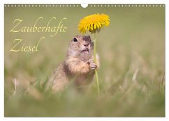 Zauberhafte Ziesel (Wandkalender 2026 DIN A3 quer), CALVENDO Monatskalender Zauberhafte Ziesel (Wandkalender 2026 DIN A3 quer), CALVENDO Monatskalender