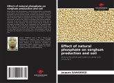 Effect of natural phosphate on sorghum production and soil
