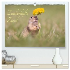 Zauberhafte Ziesel (hochwertiger Premium Wandkalender 2026 DIN A2 quer), Kunstdruck in Hochglanz Cover Zauberhafte Ziesel (hochwertiger Premium Wandkalender 2026 DIN A2 quer), Kunstdruck in Hochglanz