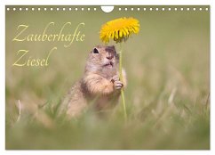 Zauberhafte Ziesel (Wandkalender 2026 DIN A4 quer), CALVENDO Monatskalender Zauberhafte Ziesel (Wandkalender 2026 DIN A4 quer), CALVENDO Monatskalender
