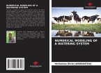 NUMERICAL MODELING OF A WATERING SYSTEM