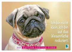 Der Mops: Nicht klein, sondern aufs Wesentliche reduziert. (Wandkalender 2026 DIN A4 quer), CALVENDO Monatskalender Der Mops: Nicht klein, sondern aufs Wesentliche reduziert. (Wandkalender 2026 DIN A4 quer), CALVENDO Monatskalender