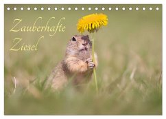 Zauberhafte Ziesel (Tischkalender 2026 DIN A5 quer), CALVENDO Monatskalender