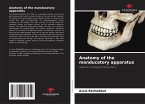 Anatomy of the manducatory apparatus