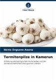 Termitenpilze in Kamerun