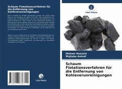 Cover Schaum Flotationsverfahren für die Entfernung von Kohleverunreinigungen