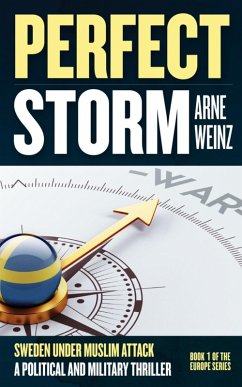 Cover Perfect Storm (eBook, ePUB)