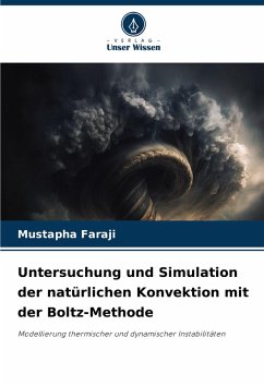 Cover Untersuchung und Simulation der natürlichen Konvektion mit der Boltz-Methode