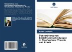 Überprüfung von Gerichtsentscheidungen in Strafsachen: Theorie und Praxis
