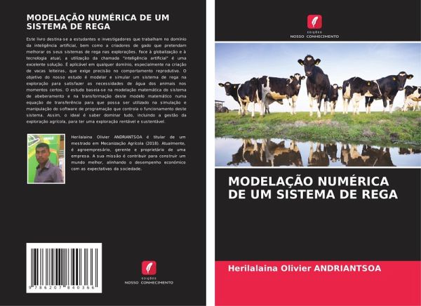 MODELAÇÃO NUMÉRICA DE UM SISTEMA DE REGA