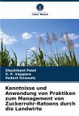 Kenntnisse und Anwendung von Praktiken zum Management von Zuckerrohr-Ratoons durch die Landwirte Kenntnisse und Anwendung von Praktiken zum Management von Zuckerrohr-Ratoons durch die Landwirte