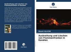 Cover Ausbreitung und Löschen von Flammenfronten in Kanälen