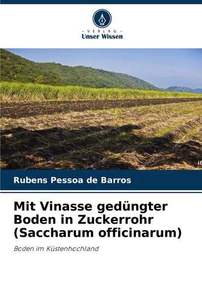 Mit Vinasse gedüngter Boden in Zuckerrohr (Saccharum officinarum)