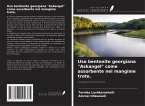 Uso bentonite georgiana 