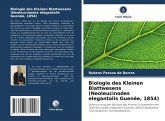 Biologie des Kleinen Blattwesens (Neoleucinodes elegantalis Guenée, 1854) Biologie des Kleinen Blattwesens (Neoleucinodes elegantalis Guenée, 1854)