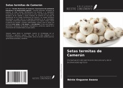 Setas termitas de Camerún - Onguene Awana, Nérée