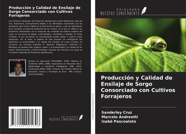 Producción y Calidad de Ensilaje de Sorgo Consorciado con Cultivos Forrajeros