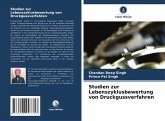Studien zur Lebenszyklusbewertung von Druckgussverfahren Studien zur Lebenszyklusbewertung von Druckgussverfahren