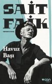 Havuz Basi