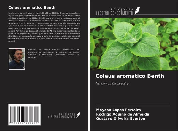 Coleus aromático Benth Coleus aromático Benth