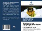 Morphometrische Divergenzen von Melipona subnitida Ducke Hymenoptera: Apid Morphometrische Divergenzen von Melipona subnitida Ducke Hymenoptera: Apid