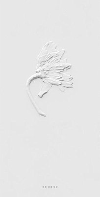 Cover Sarah Schorr