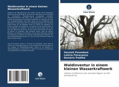 Cover Waldinventur in einem kleinen Wasserkraftwerk