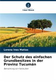 Der Schutz des einfachen Grundbesitzes in der Provinz Tucumán Der Schutz des einfachen Grundbesitzes in der Provinz Tucumán