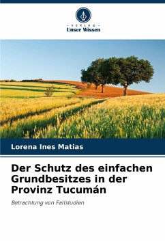 Cover Der Schutz des einfachen Grundbesitzes in der Provinz Tucumán