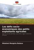 Les défis socio-économiques des petits exploitants agricoles Les défis socio-économiques des petits exploitants agricoles