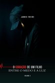 Entre O Medo E A Luz (eBook, ePUB)