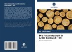 Die Holzwirtschaft in Anita Garibaldi - SC Die Holzwirtschaft in Anita Garibaldi - SC