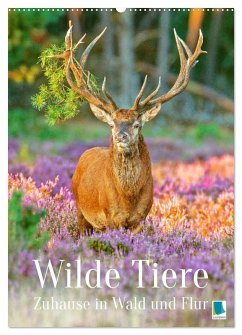 Wilde Tiere: Zuhause in Wald und Flur (Wandkalender 2026 DIN A2 hoch), CALVENDO Monatskalender