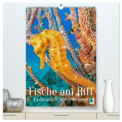 Cover Farbrausch unter Wasser: Fische am Riff (hochwertiger Premium Wandkalender 2026 DIN A2 hoch), Kunstdruck in Hochglanz