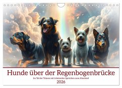 Cover Hunde über der Regenbogenbrücke (Wandkalender 2026 DIN A4 quer), CALVENDO Monatskalender
