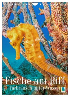 Cover Farbrausch unter Wasser: Fische am Riff (Wandkalender 2026 DIN A4 hoch), CALVENDO Monatskalender