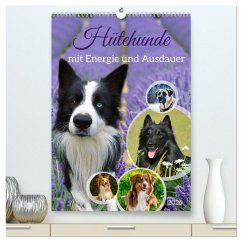 Cover Hütehunde mit Energie und Ausdauer (hochwertiger Premium Wandkalender 2026 DIN A2 hoch), Kunstdruck in Hochglanz