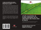 L'huile essentielle de Croton zehntneri sur la réparation des tissus chez la souris