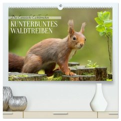 Das Eurasische Eichhörnchen - Kunterbuntes Waldtreiben (hochwertiger Premium Wandkalender 2026 DIN A2 quer), Kunstdruck in Hochglanz Das Eurasische Eichhörnchen - Kunterbuntes Waldtreiben (hochwertiger Premium Wandkalender 2026 DIN A2 quer), Kunstdruck in Hochglanz