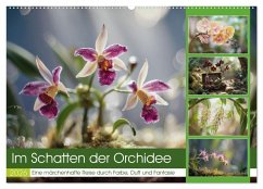 Im Schatten der Orchidee (Wandkalender 2026 DIN A2 quer), CALVENDO Monatskalender Im Schatten der Orchidee (Wandkalender 2026 DIN A2 quer), CALVENDO Monatskalender
