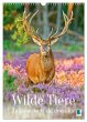 Wilde Tiere: Zuhause in Wald und Flur... - Bild 1
