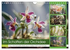 Im Schatten der Orchidee (Wandkalender 2026 DIN A4 quer), CALVENDO Monatskalender Im Schatten der Orchidee (Wandkalender 2026 DIN A4 quer), CALVENDO Monatskalender