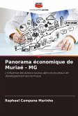 Panorama économique de Muriaé - MG Panorama économique de Muriaé - MG