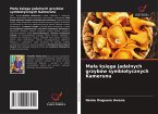 Ma¿a ksi¿ga jadalnych grzybów symbiotycznych Kamerunu