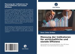 Cover Messung der Indikatoren für wirtschaftliche und soziale Effizienz