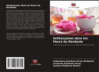 Anthocyanes dans les fleurs du Nordeste Anthocyanes dans les fleurs du Nordeste