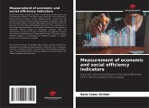 Measurement of economic and social efficiency indicators